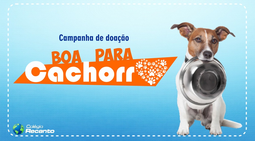 Socialização positiva